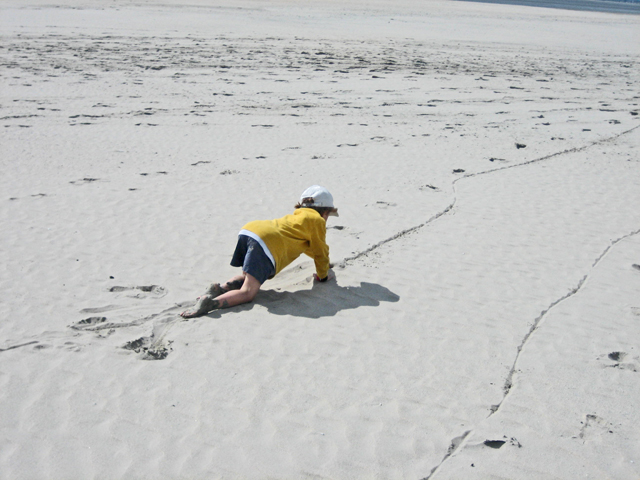 follow the track