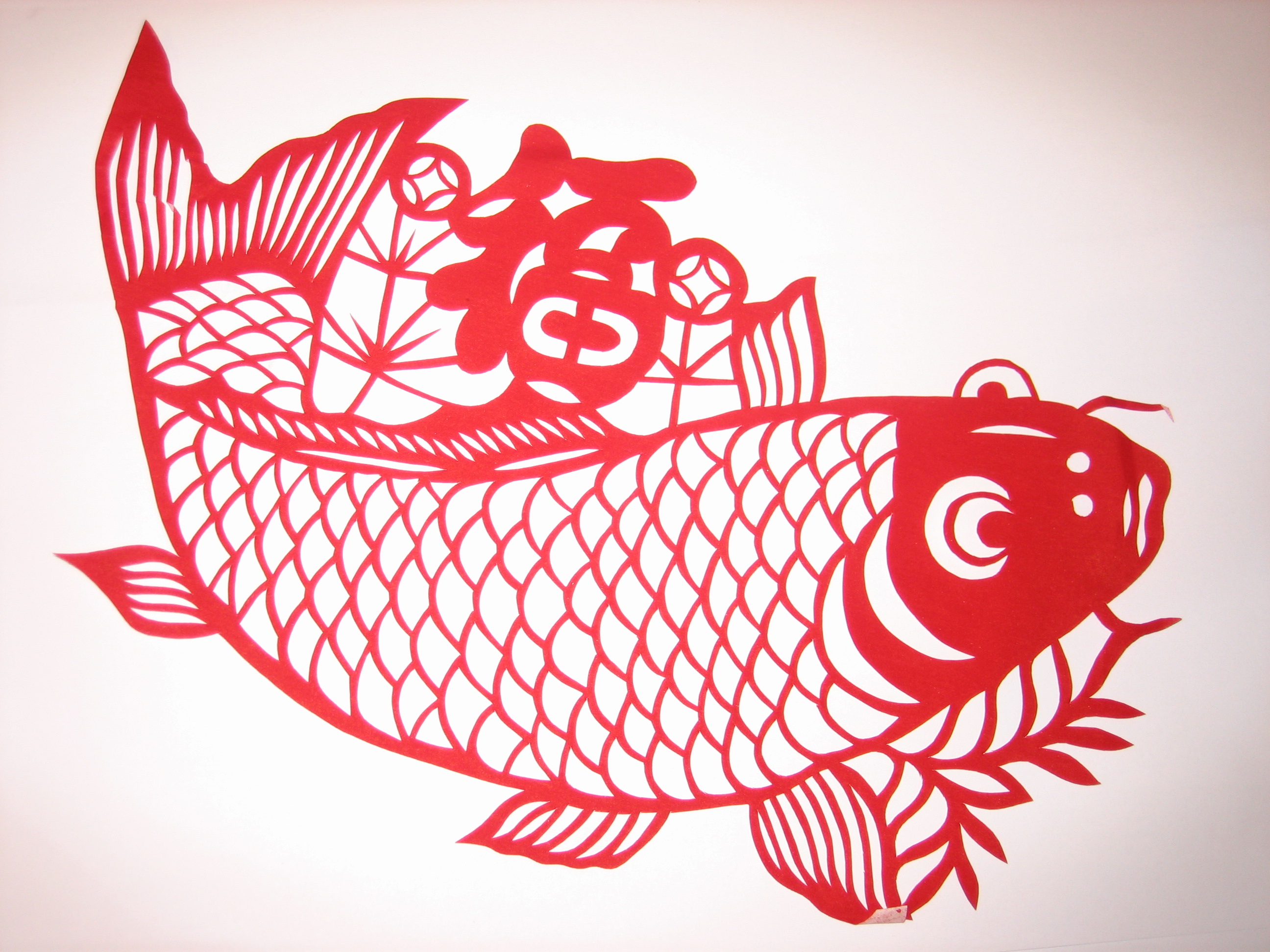 Carp & Fortunateness