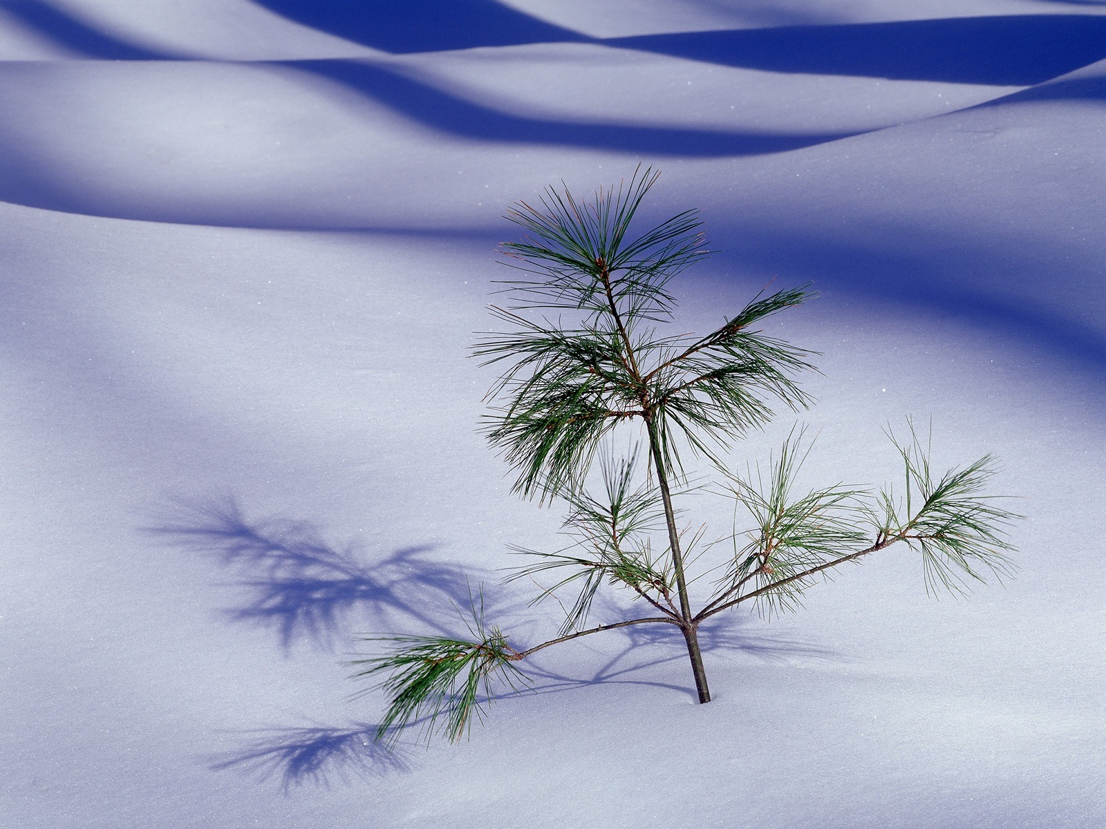 memory in Winter of China