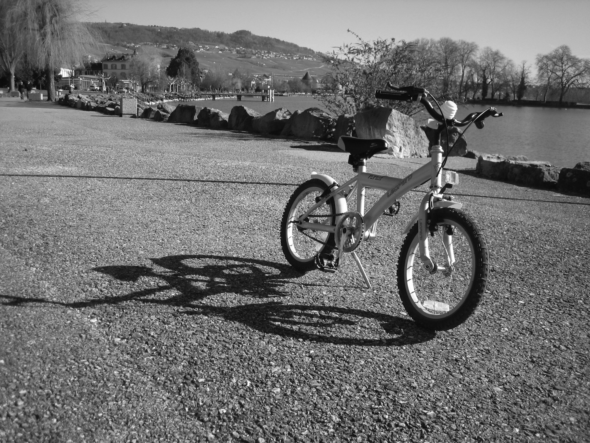 bikes