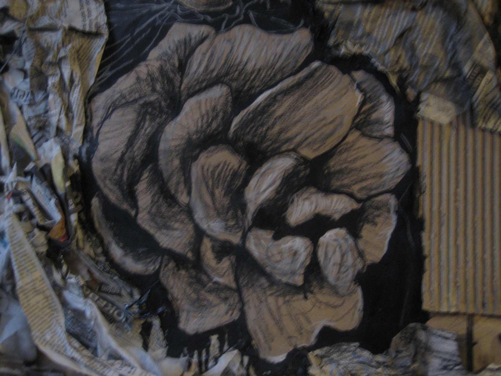 gray rose