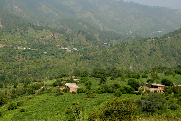 Village