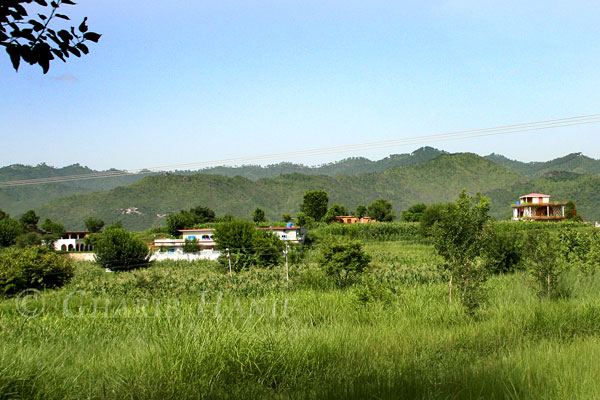 Village