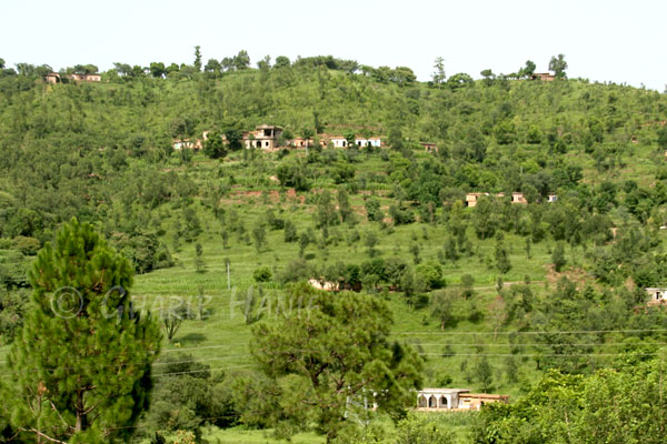 Village