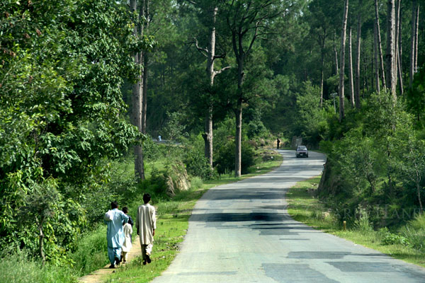 Road