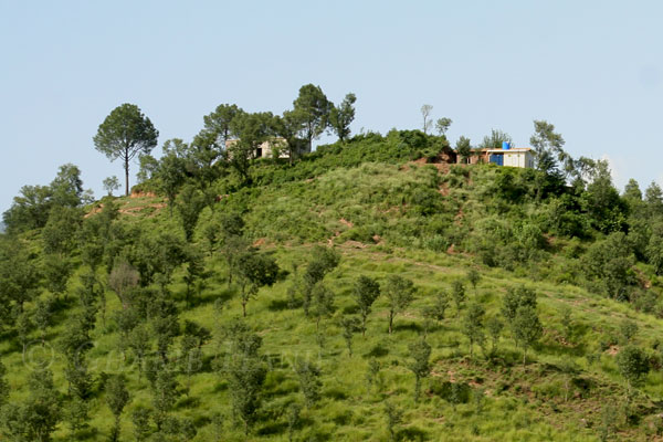 Hilltop
