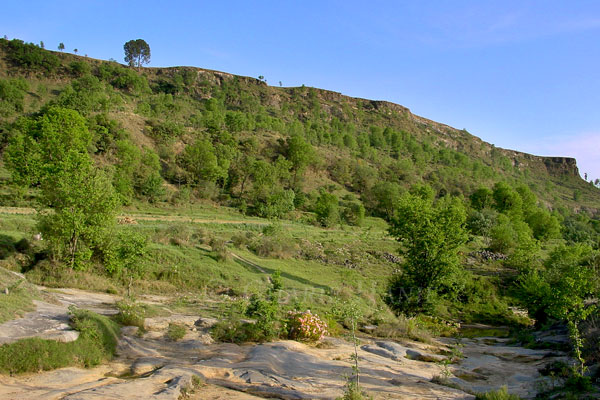 Stream