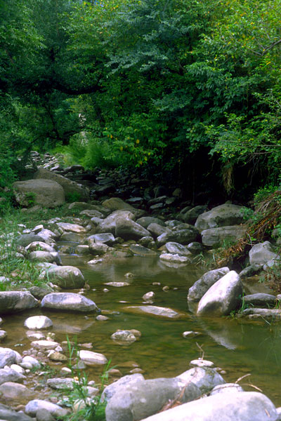 Stream