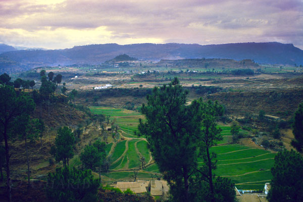 Village