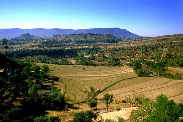 Village