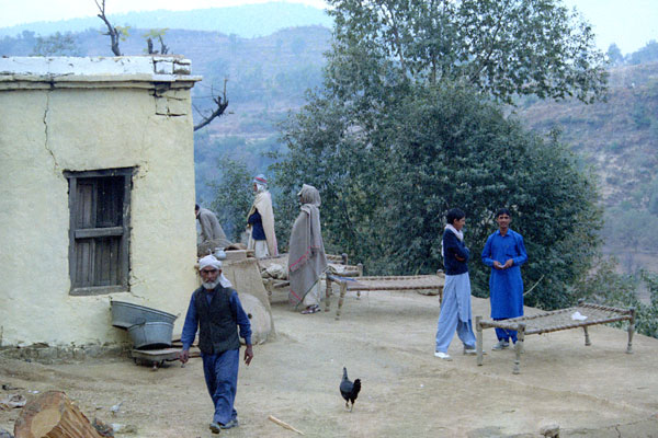 Social gathering