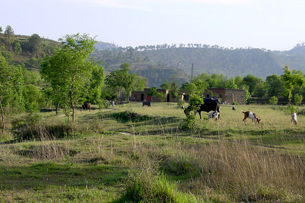 Village