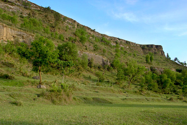Field