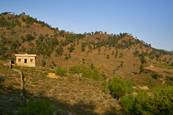 Village
