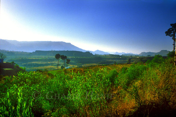 Village