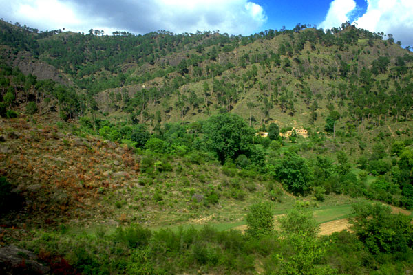 Village
