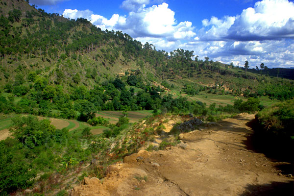 Road