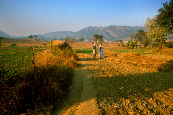 Village