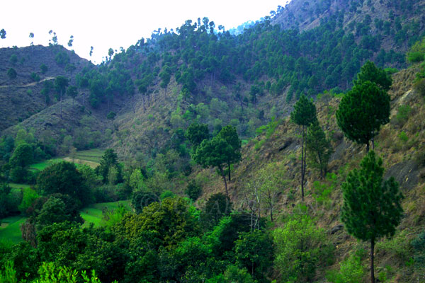Mountains