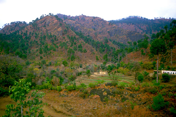 Village