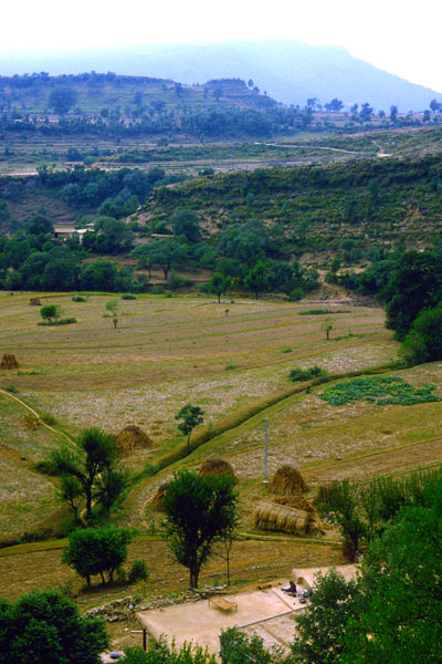 Village