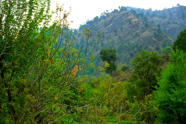 Mountains
