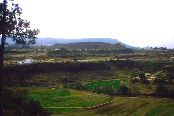 Village