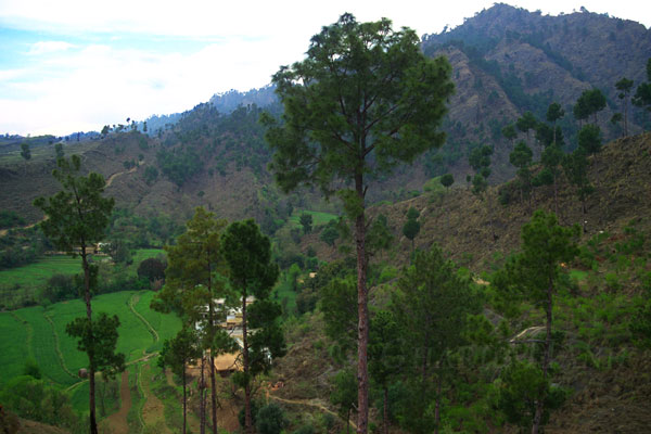 Village