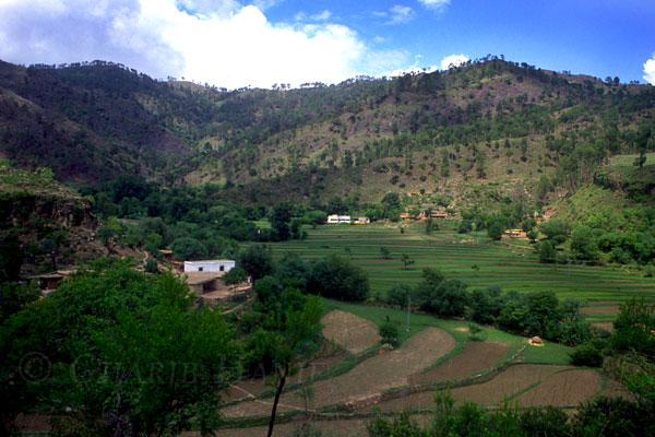 Village