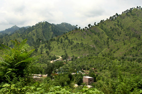View from Joona