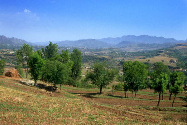Fields