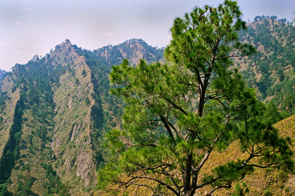Kotli Dist.