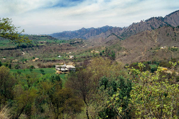 Joona in Kotli dist