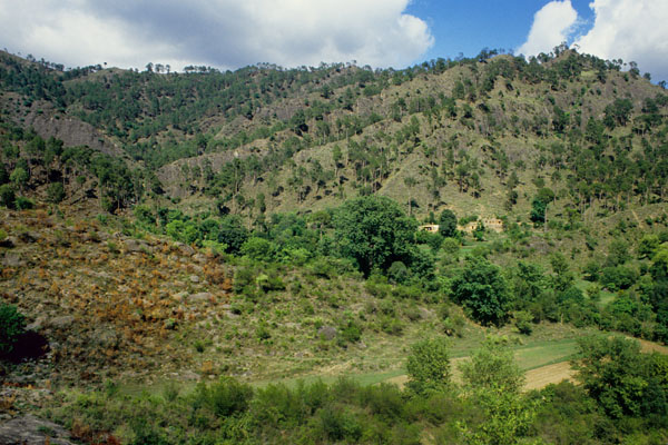 Green Valley