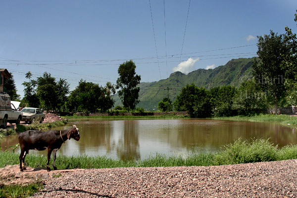 Barotgala