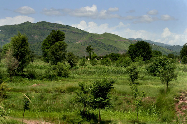 Village