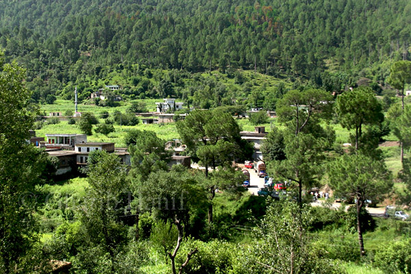 Dhungi