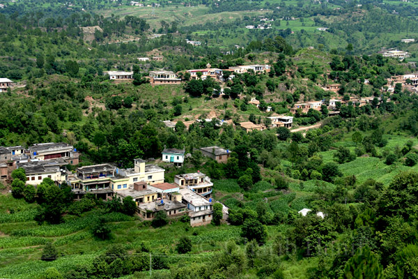 Dunghi