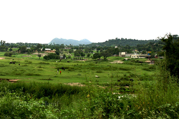 Village