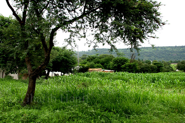 Village