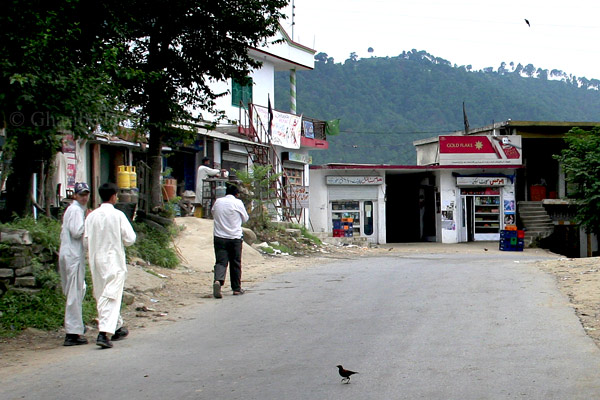 Palyat