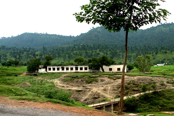 Houses