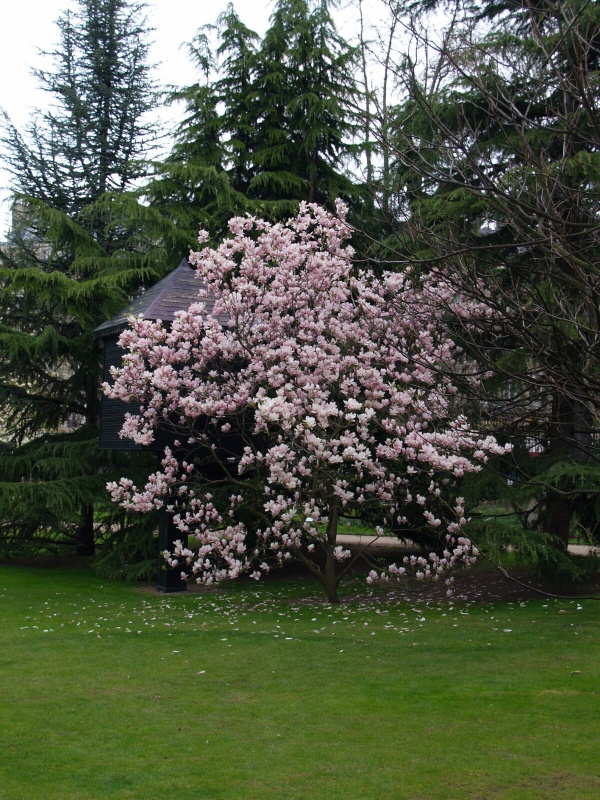 P4144410.jpg