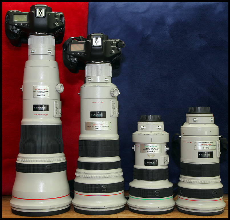 My big lenses from Canon 2010 - 800/5,6 (4.500g), 500/4 (3870g), 400/4 (1940g) & 300/2,8 (2550g)