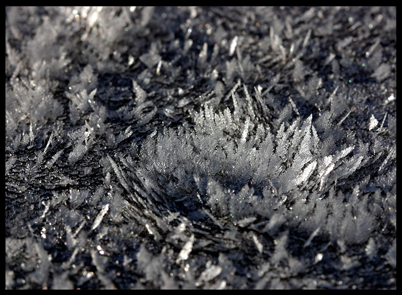 Newly formed ice on my car