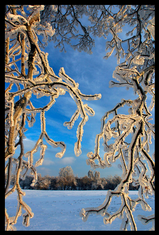 Winter in Karryd