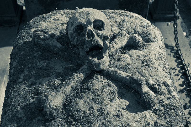 Skull.jpg