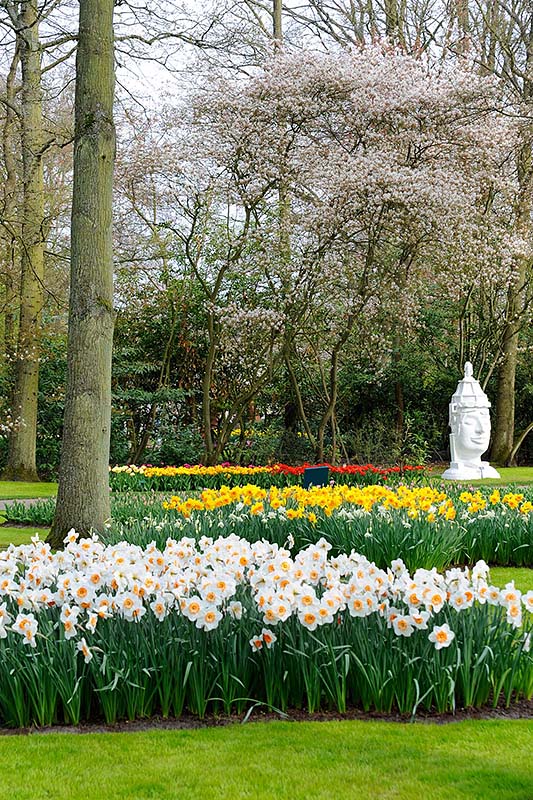 Keukenhof_09.jpg
