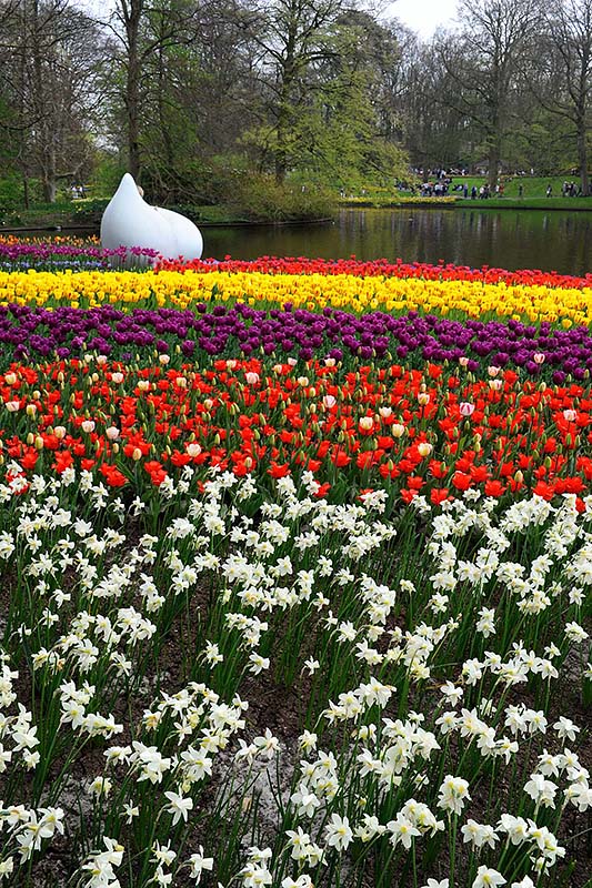 Keukenhof_25.jpg