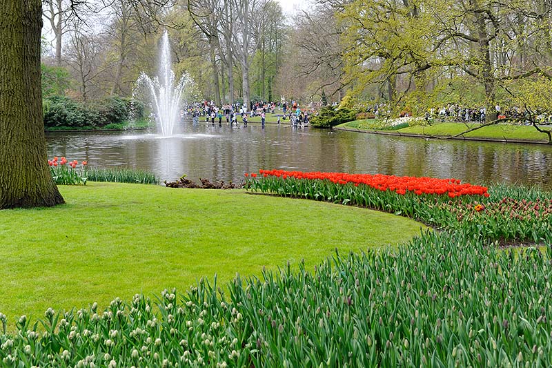 Keukenhof_36.jpg